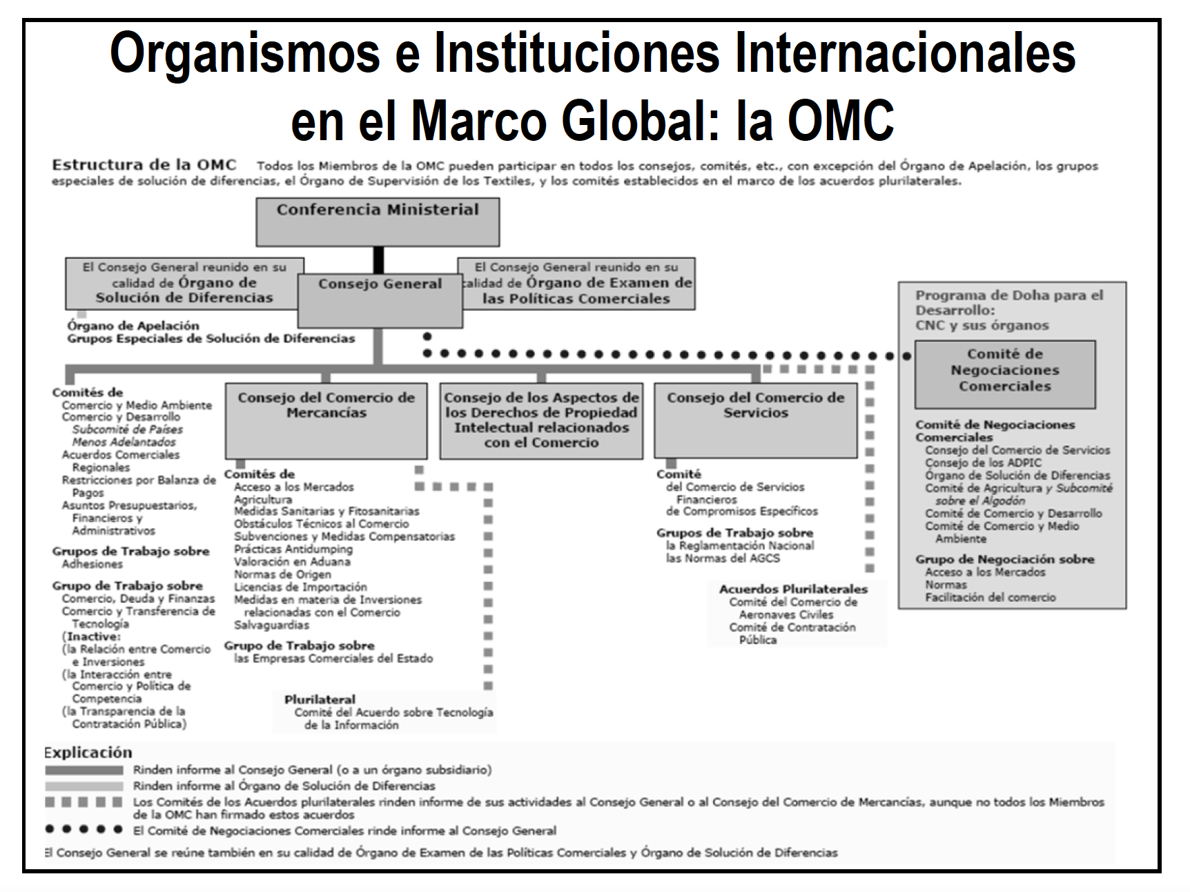Organismos e Instituciones Internacionales en el Marco Global La OMC