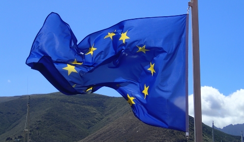 European Union flag P5132670